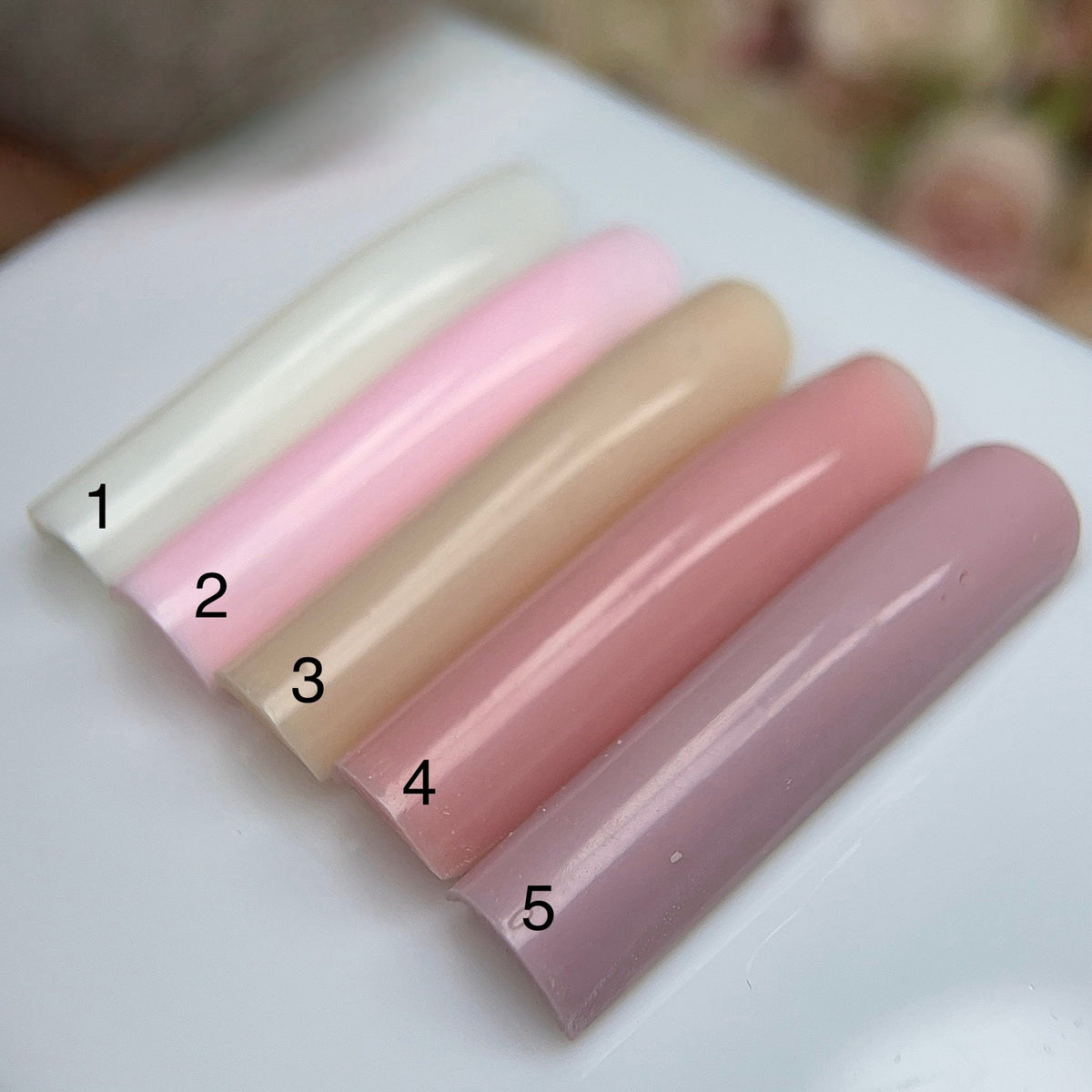Jelly Builder Gel